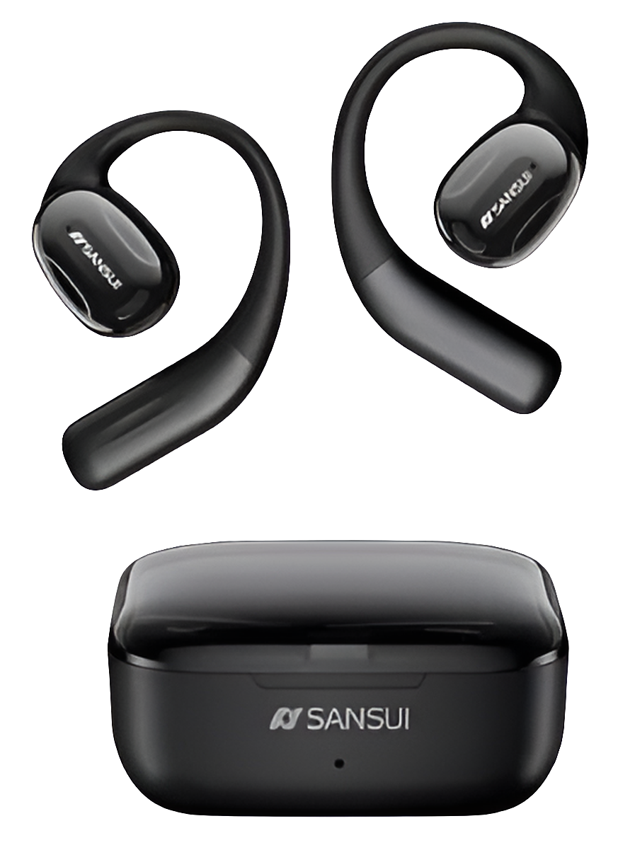 Sansui W93 Earhook